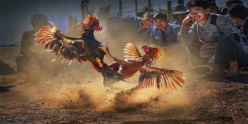 55win55 chơi bắn cá đổi thưởng