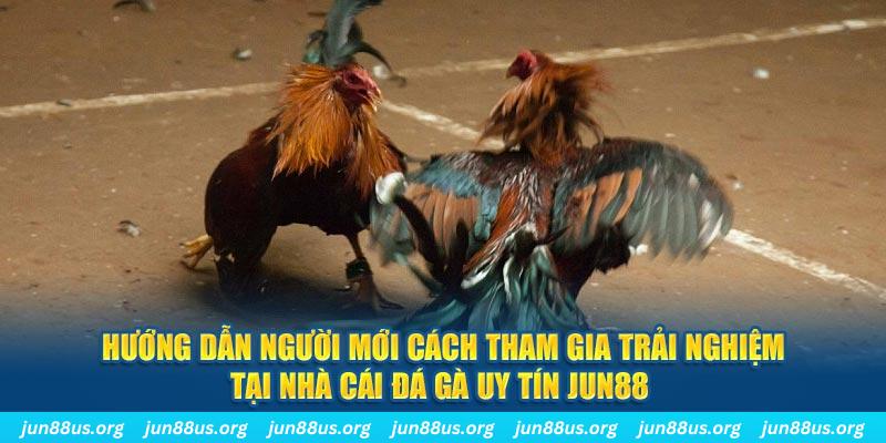 55win55 CQ9 Điện Tử