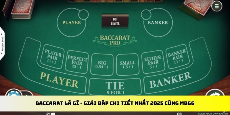 55win55 gà chọi cu cần