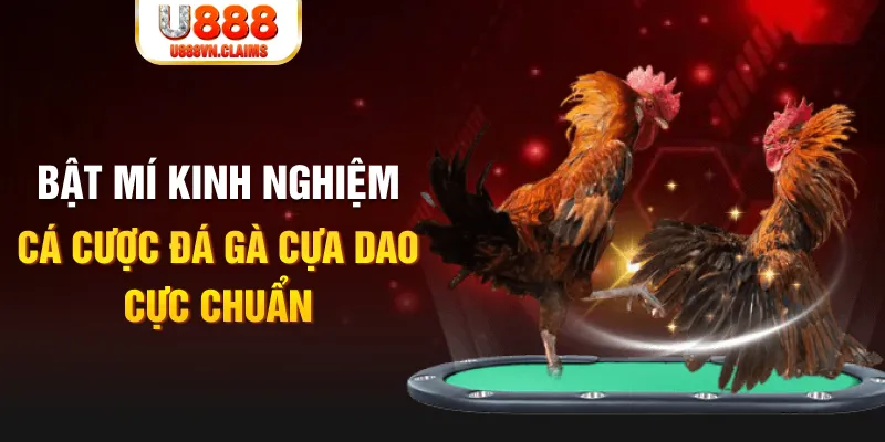 55win55 tỷ lệ cá cược châu á là gì