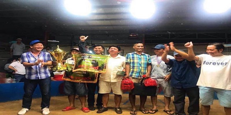 55win55 đá gà trực tiếp hôm nay