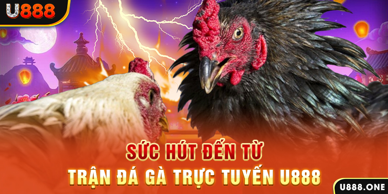 55win55 nổ hũ b29 là gì