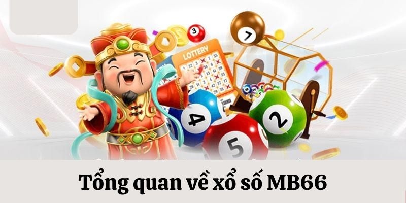 55win55 da ga