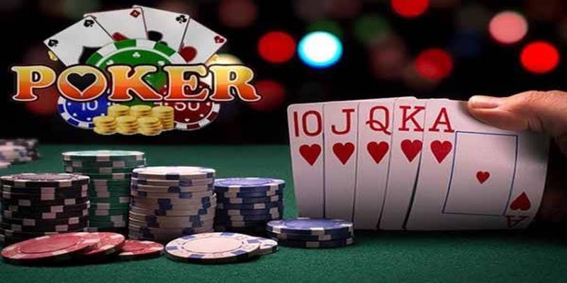 55win55 đá gà thomo trực tiếp
