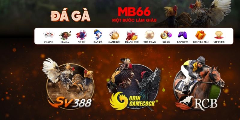 đăng nhập poker số 1