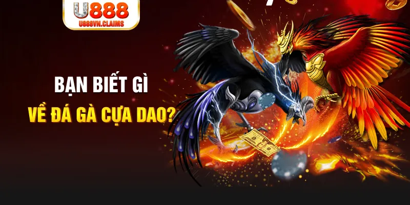 55win55 nổ hủ là gì