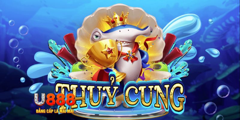 55win55 trực tiếp đá gà c1 hôm nay