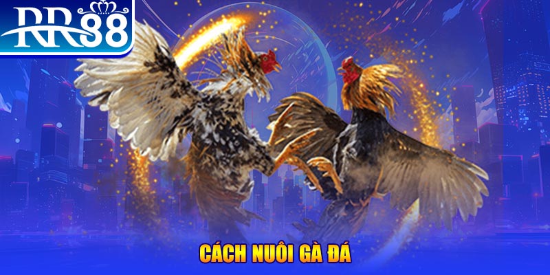 55win55 xổ số an giang