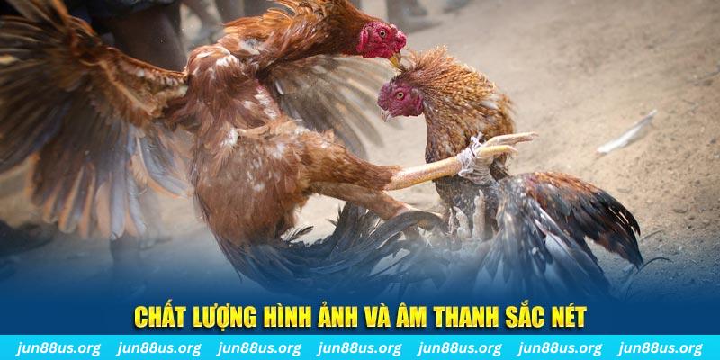 55win55 đăng nhập roulette live