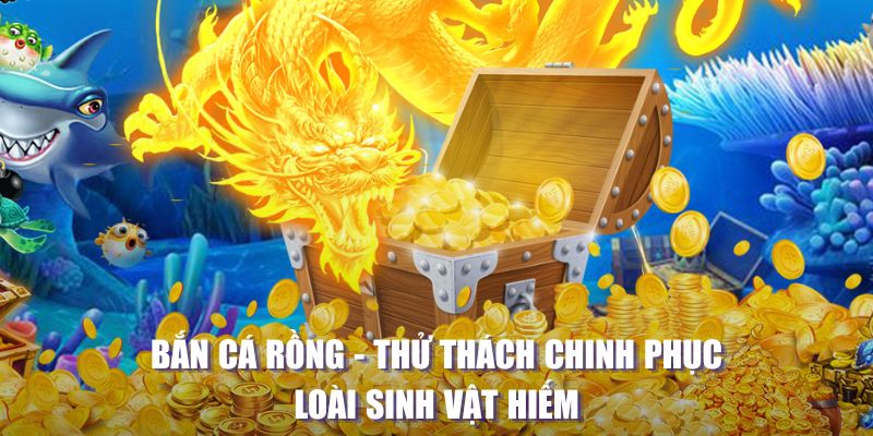 55win55 máy slot game là loại trò chơi gì？