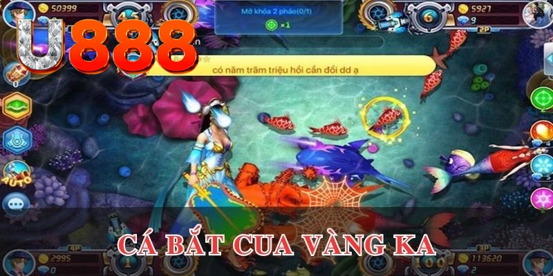 55win55 kết quả xổ số hôm nay