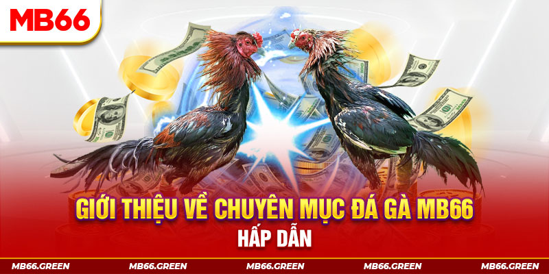 55win55 đăng nhập sòng bạc đổi thưởng