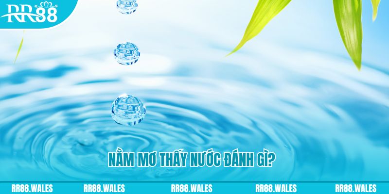 55win55 TP Bắn cá