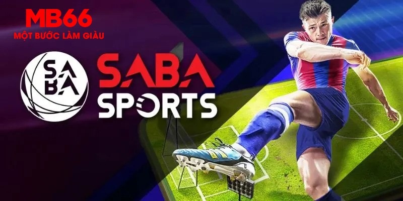 55win55 gà chọi c1 thomo