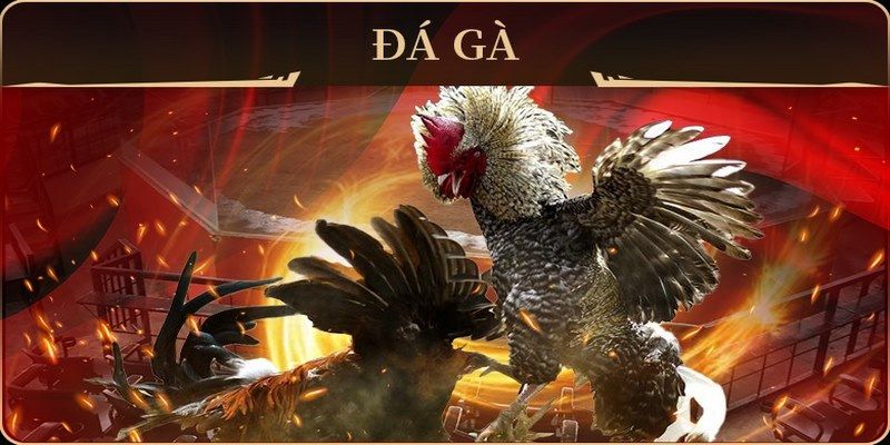 55win55 xổ số miền nam thứ hai