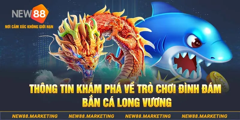 55win55 baccarat lừa đảo như thế nào