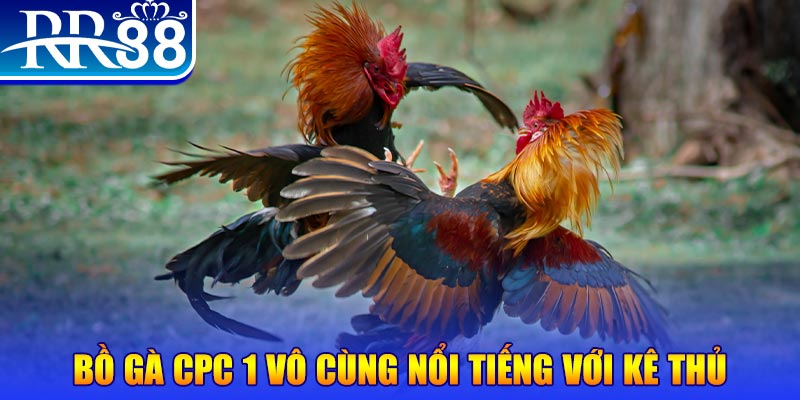 55win55 game máy bay nổ hũ
