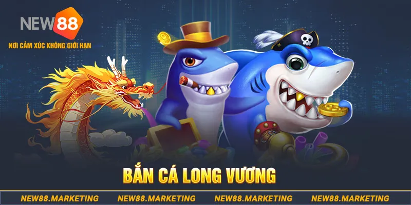 55win55 đá gà trực tiếp c1