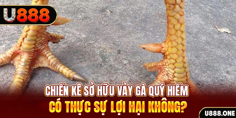 55win55 nohu .mx nổ hủ là gì