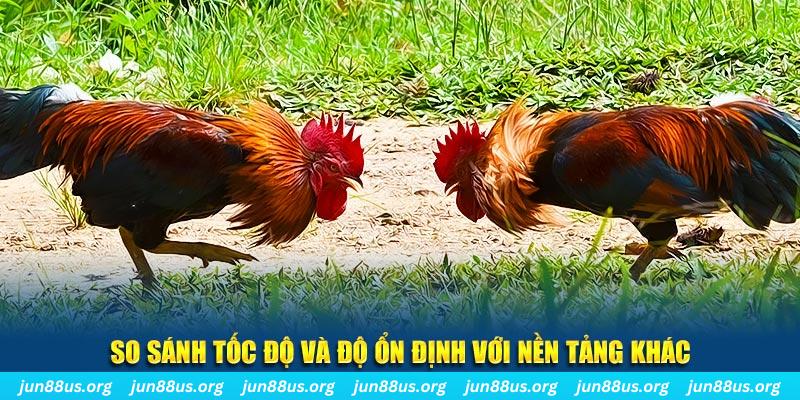 55win55 đá gà hôm nay