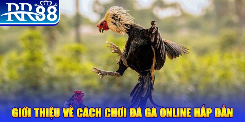 55win55 game nổ hũ rút tiền mặt là gì