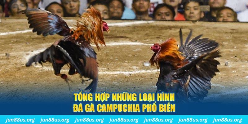 55win55 đăng nhập nổ hũ 2024