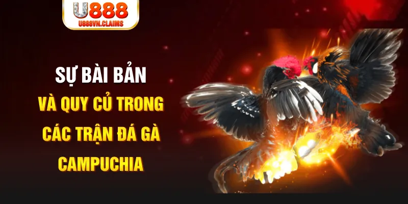 55win55 YGR Điện Tử
