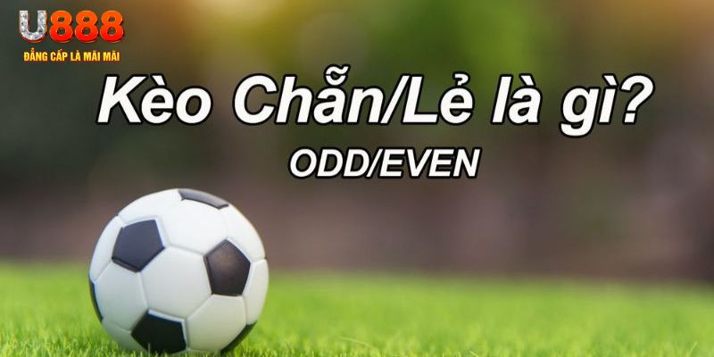 55win55 đăng nhập poker hôm nay