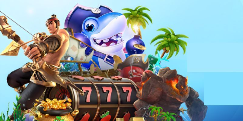 55win55 chọi gà