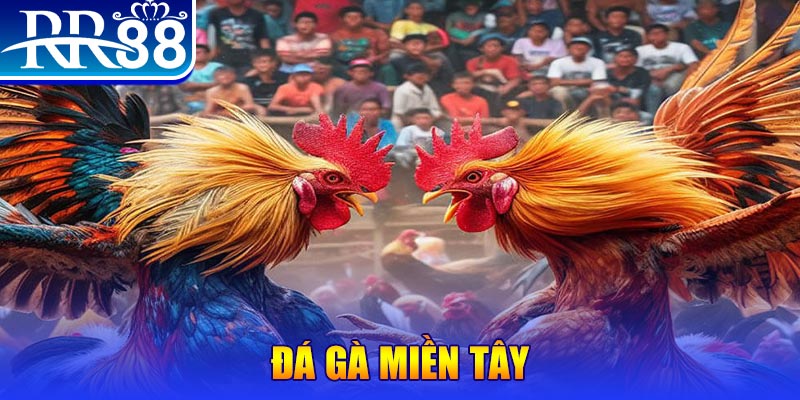 55win55 đăng nhập nổ hũ