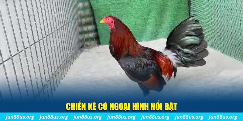 55win55 chạy quảng cáo cho game bài bị phạt như thế nào