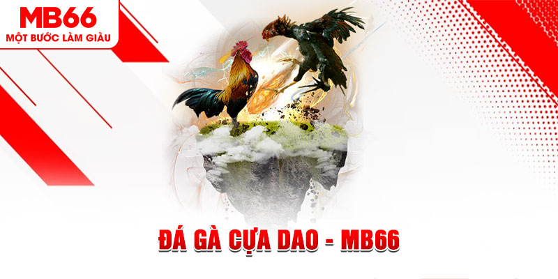 55win55 đá gà sv388 gold