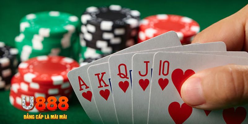 55win55 đá gà trực tiếp thomo 67