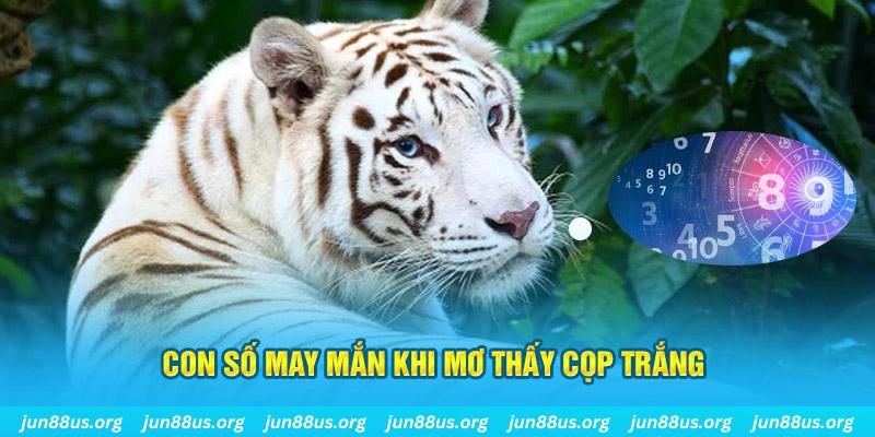 55win55 đá gà trực tiếp 88